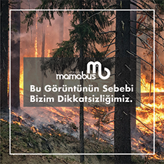 Orman Yangınlarına Karşı Alınacak Önlemler